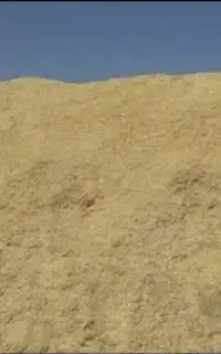 کاه