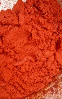 رب گوجه تازه پخت و خوش طمع