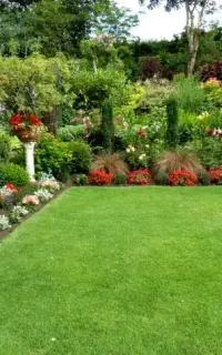 خدمات.باغبانی.باغچه حرسکاری تعویض خاک در تمام نقاط