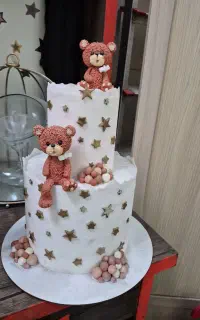 ماکت کیک عکاسی