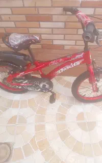 دوچرخه