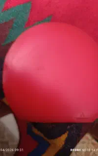 روییه لوکی رکستون1