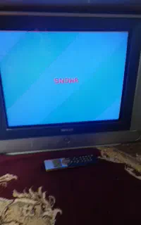 تلویزیون