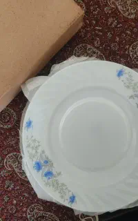 بشقاب خورشت خوری آرکوپال