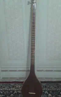 یک ساز سه تاره فروش میرسد
