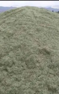 علف