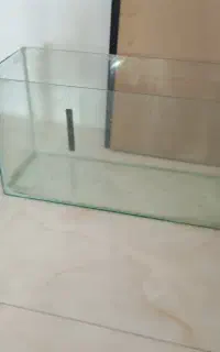 اکواریوم