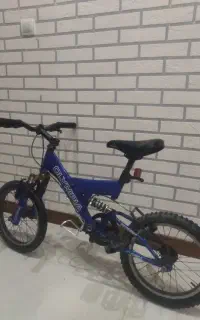 دوچرخه اصل المپیا