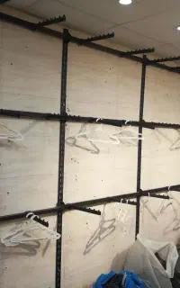 مانکن  و رگال
