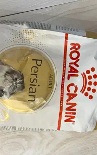 رویال کنین پرشین