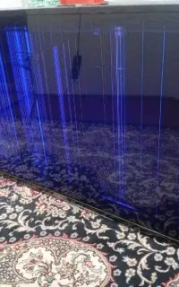 ال جی ۴۳ قیمت توافقی