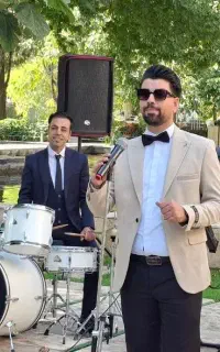 ودینگ ، گروه موزیک ، موزیک ViP