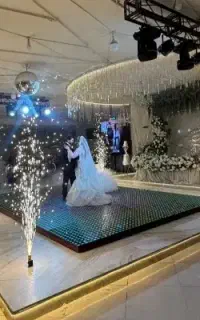 دیجی خانم و اقا