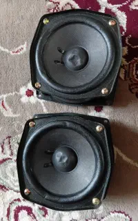 یک جفت میدبیس ایوا خونگی