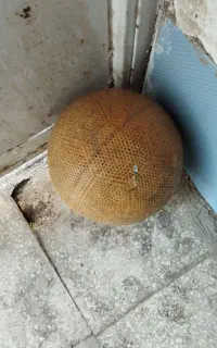 توپ