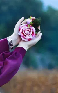 فروش خط تلفن ثابت منزل