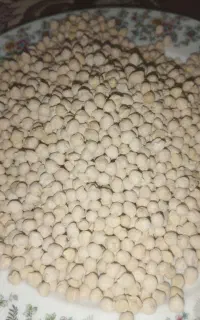 نخود و لپه  نو محلی درجه یک