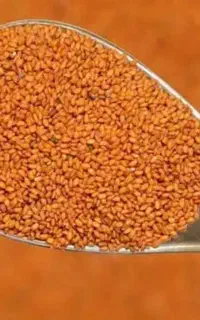 خاکشیر کاملا تمیز