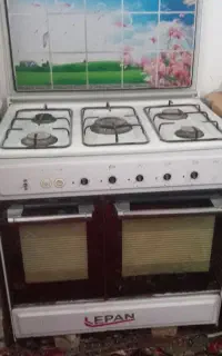 گاز طرح فر  سالم