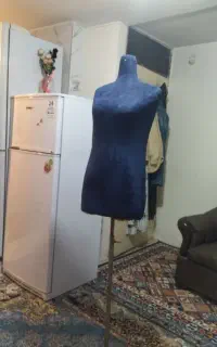 مانکن سوزنخور