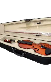 ویولن آماتی ۱۰۰