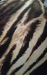 پارچه..پی..دا شده
