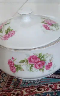 ظروف گل سرخی نو