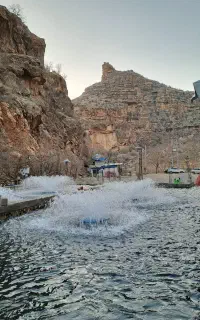 فروش ماهی قزل الا پرورش ماهی شیرز