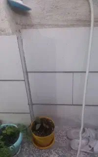 دوش حمام