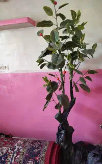 درختچه مصنوعی