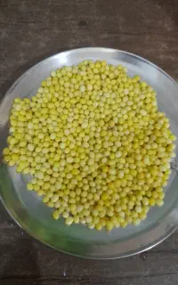 خاویارحلزون وحلزون تراپی اچاتینا