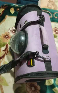 ساک حمل سگ