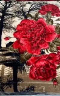 پتو شادیلون دونفره