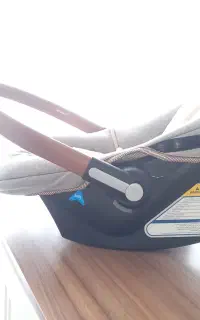 کالسکه و کریر دلیجان