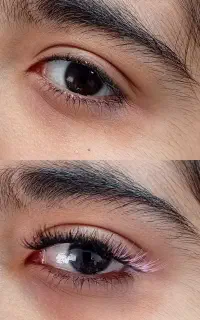 آموزش« مژه هیدن »کسب درآمدکن