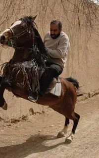 نریان کرد جنگده