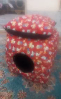 خواب گربه  دوکاره