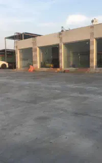 جلوبندی سازی تضمینی