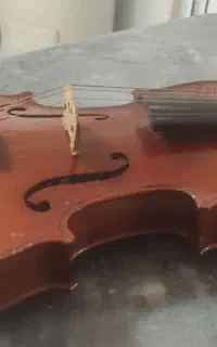 ویولون تی اف ۱۴۲اصل