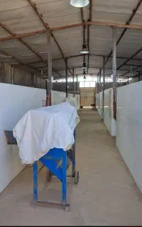 پانسیون اسب و آموزش سوارکاری