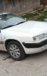 زانتیا بسیار تمیز