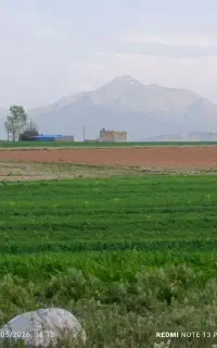 اجاره