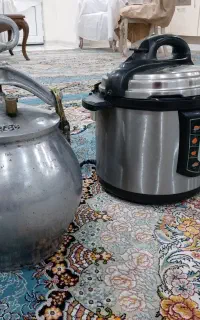 زودپز اصلی سالم