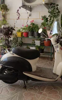 موتور هوندا اسکوپی