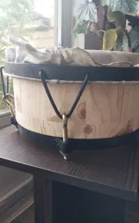 گونگا تراول