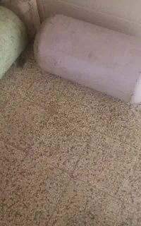 گاز سوز خودرو CNG