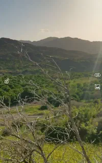 کارگر ساده جهت کار در باغ مرکبات