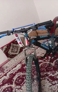 دوچرخه 24