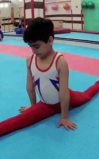 آموزش ژیمناستیک