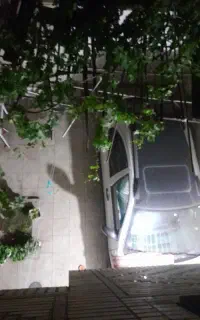 اطلس g سفید مشگی